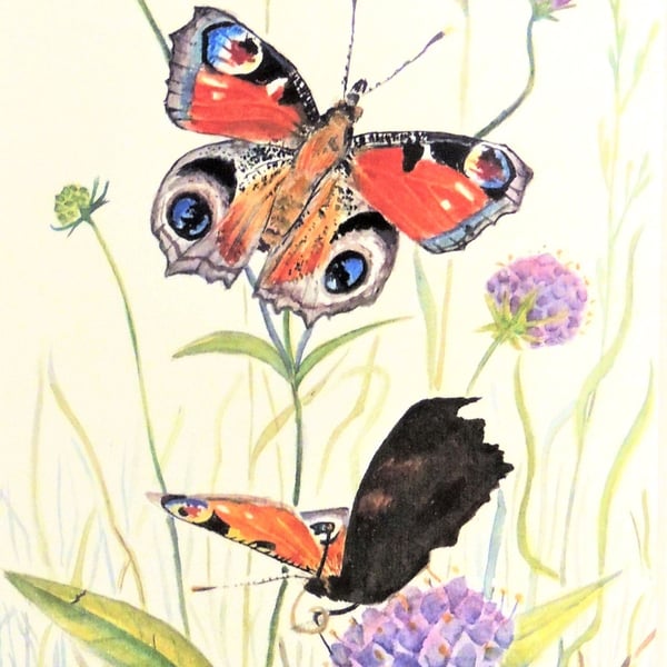 Framed Peacock Butterfly and Flowers Botanical Watercolour Original Painting