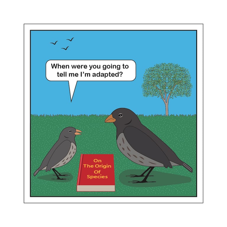 Adapted Postcard