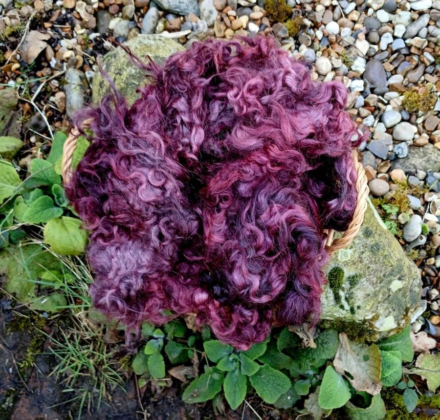 Bramble Gotland Fleece 50g