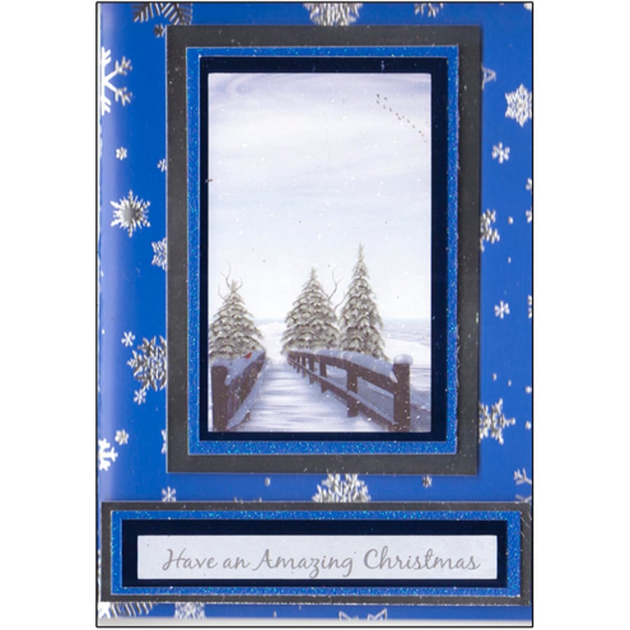 Snowy Footbridge (X504)