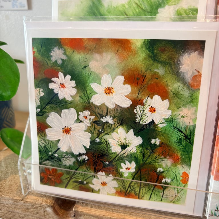 Greetings Card - The White Collection - Cosmos