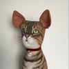 Cat Keepsakes 