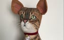 Cat Keepsakes