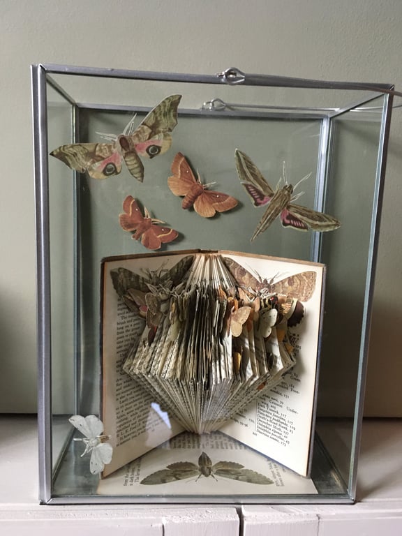 Book of Moths display