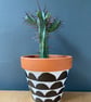 Small 9cm Plant pot, Hand painted, Unique gift, Terracotta - Image 3