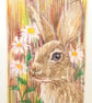 Tiny Rabbit Portrait, letterbox art gift, original drawing - Image 5