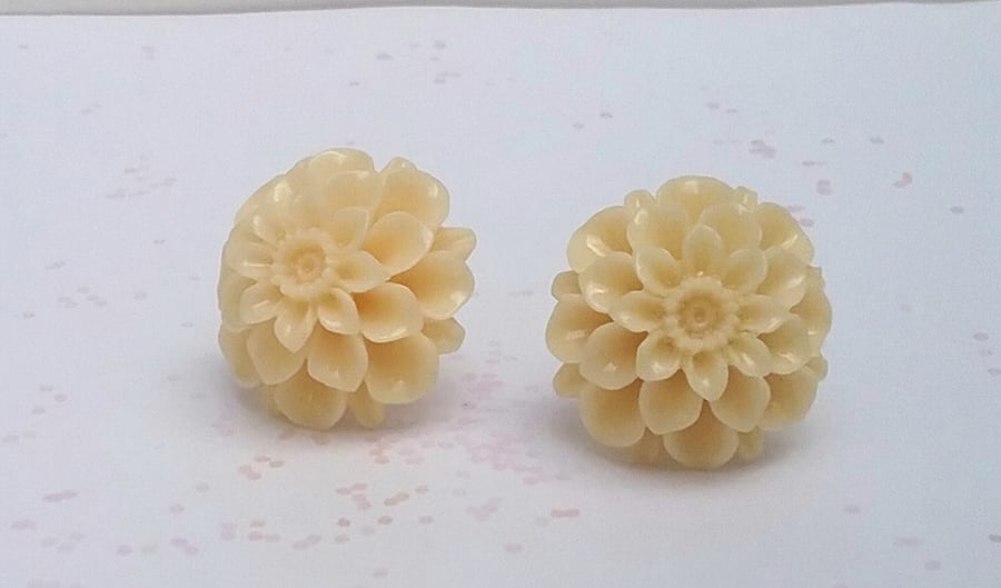 Chrysanthemum  Studs