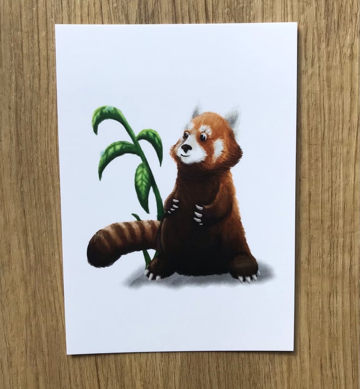 A6 Red Panda Post Card (White Background)