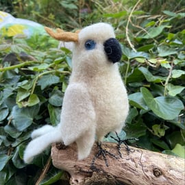 Felted sulphur crested cockatoo