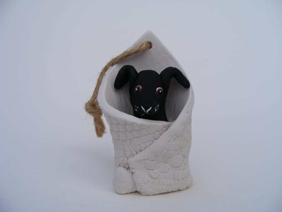 Black dog in blanket (2)