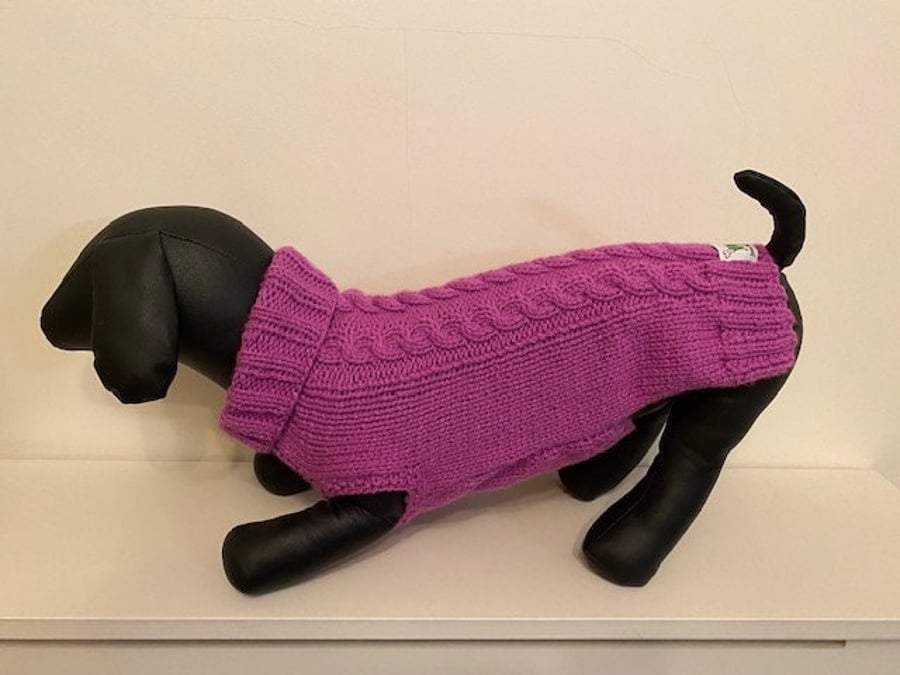 Dog Jumper - Ideal for a Miniature Dachshund or Small Dog