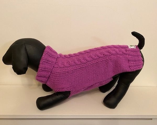 Dog Jumper - Ideal for a Miniature Dachshund or Small Dog