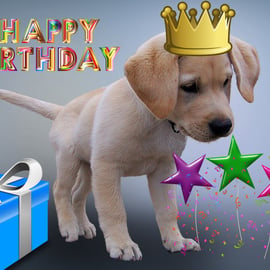 Labrador Puppy Birthday Card A5 Size 