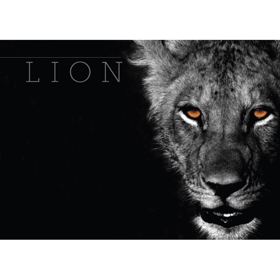 LION BLACK & WHITE POSTER