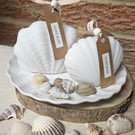 Set of two seashell candles