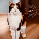 Cat indoor realistic art print signed by the artist 