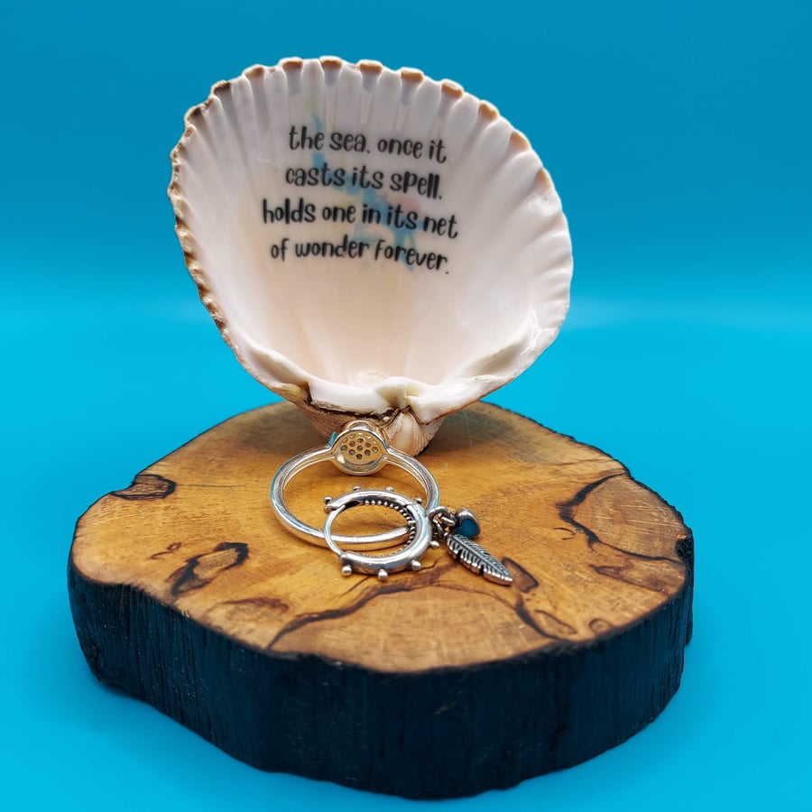 inspiring quote inside seashell on beautiful spalted driftwood