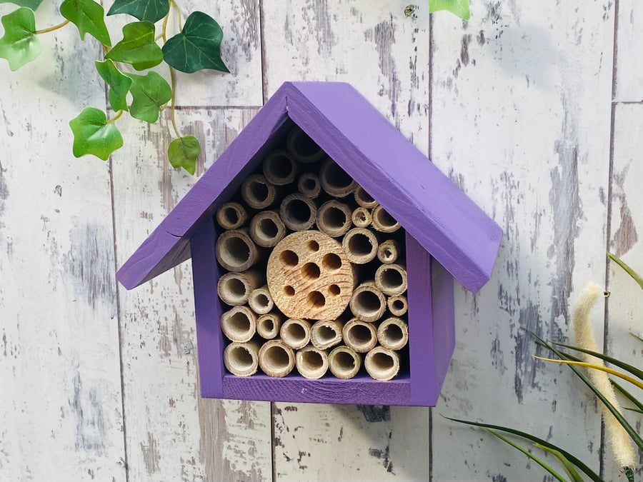 Mason Bee House, Bee Hotel, Single tier, in 'Purple Pansy'