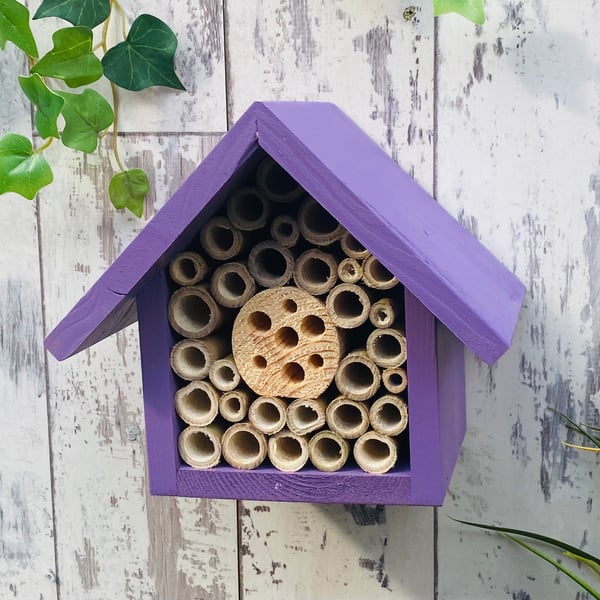 Mason Bee House, Bee Hotel, Single tier, in 'Purple Pansy'