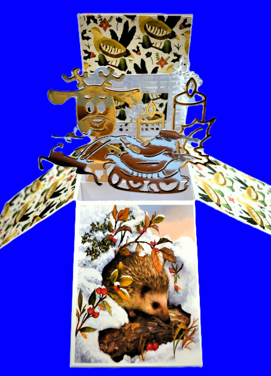 Cute Christmas Card with Hedgehogs