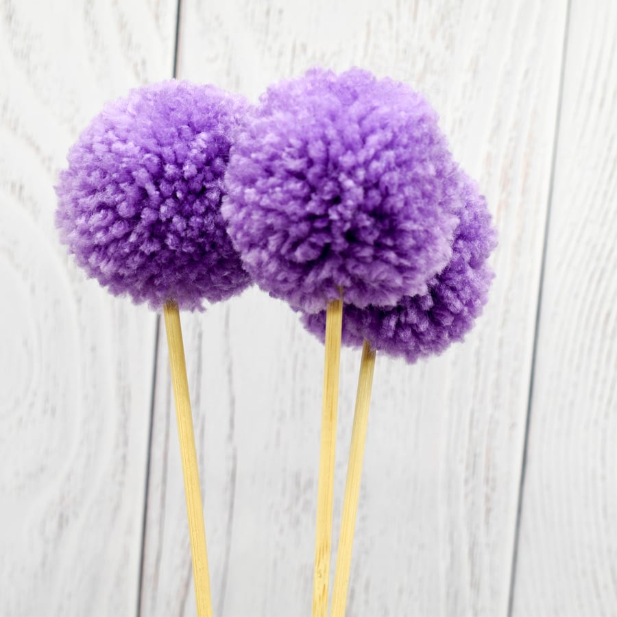 Allium Pompom bunch of three blooms