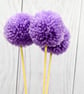 SOLD Allium Pompom bunch of three blooms
