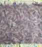 Hand dyed Helmbold 12mm mohair fur fabric "Lilac Ripple" - Image 5
