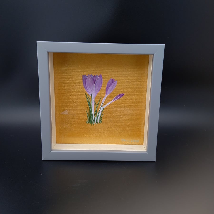 Crocus Study 3