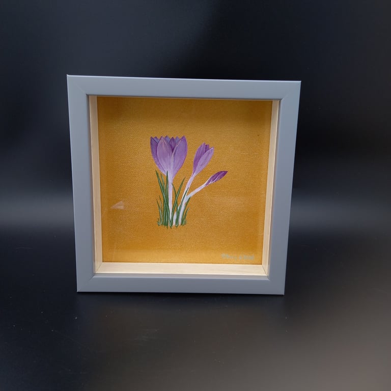 Crocus Study 3