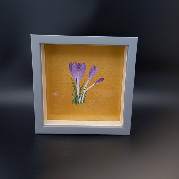 Crocus Study 3