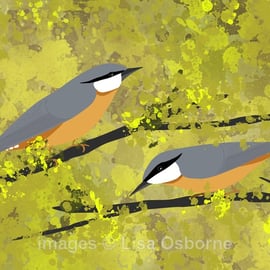 Nuthatches - print from digital illustration. Garden birds.