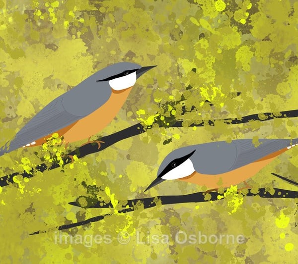 Nuthatches - print from digital illustration. Garden birds.