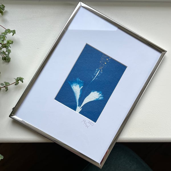 Original cyanotype "Hibbiscus" - mounted in a silver frame