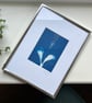 Original cyanotype "silver fennel leaves" - mounted in a 3x4inch silver frame
