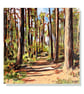 Blidworth woods, canvas print of an original oil painting.