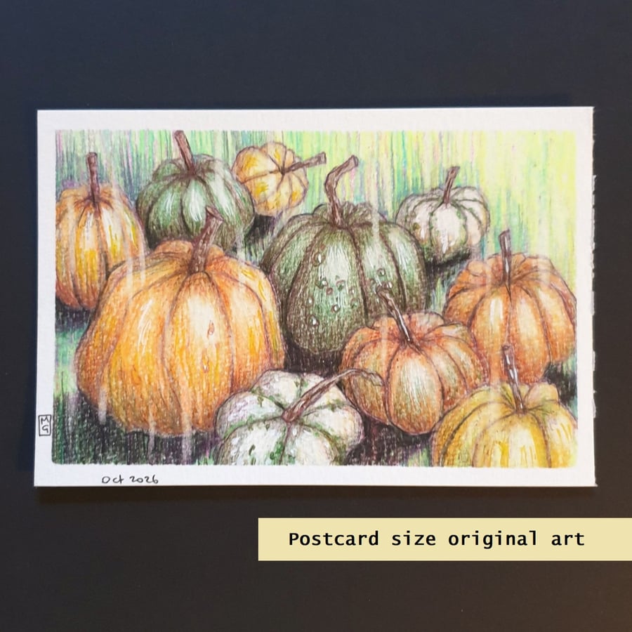 Pumpkins, an original drawing, postcard size artwork, small drawing, wall art