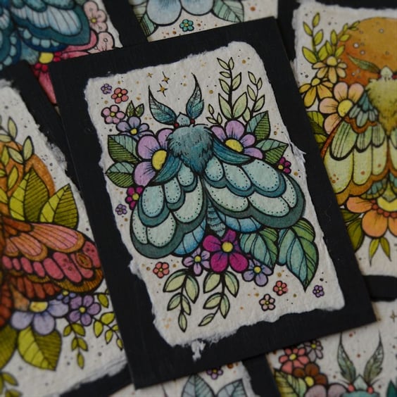 midsummer moth 4 - original aceo illustration