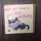 Cat perfect birthday card