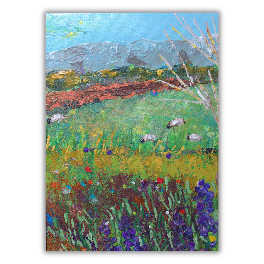 Scottish landscape - sheep grazing - painting - acrylic - letterbox gift