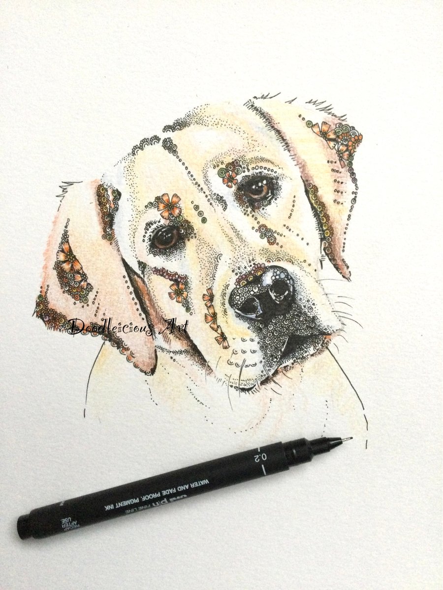 Golden Labrador Ready to frame print 