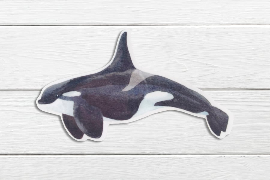 Whale,Orca watercolour glossy sticker