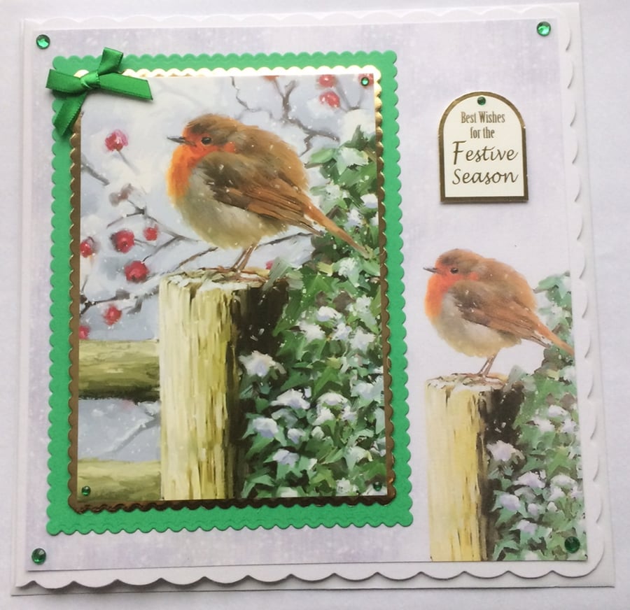 3D Christmas Card Robin Redbreast Best Wishes Festive Season