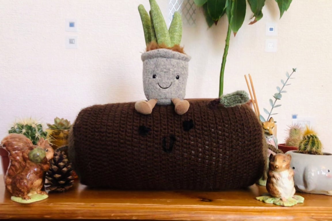 Lleucu the log - Lleucu'r boncyff