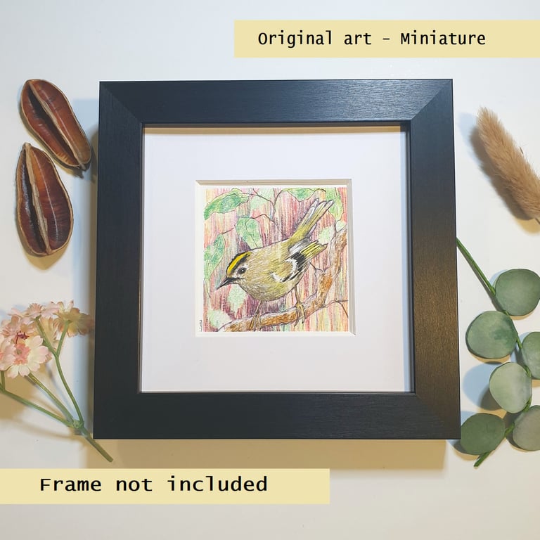 Goldcrest original art miniature, bird drawing, artwork