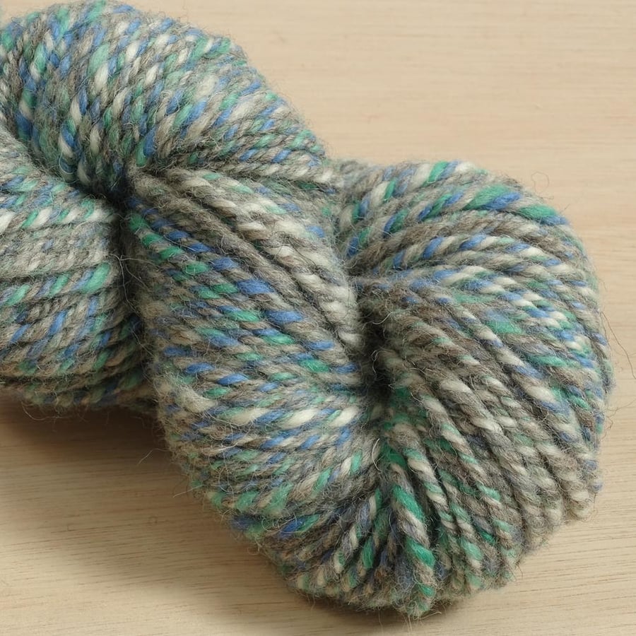Circus Seal - hand spun and dyed Shetland yarn, 100g, 85m, Worsted 3 ply
