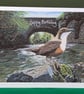 Dipper Art Card: Blank or Personalised A5-Size Greetings Card