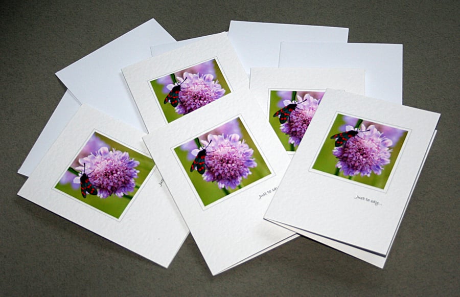 Spotty Bug Notecards (pack of 5) - Handcrafted Notecards - dr15-0002