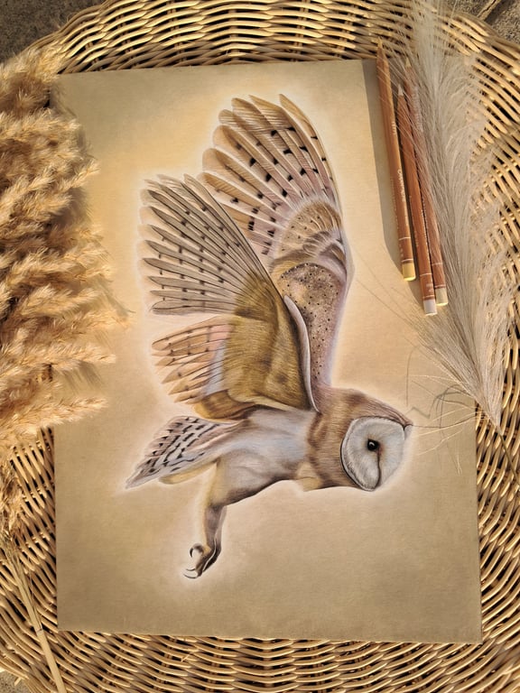 Beautiful Owl Wildlife Drawing Fine Art Print 
