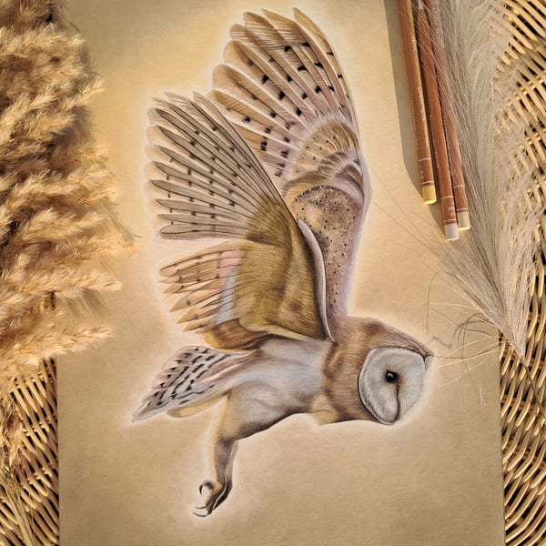 Beautiful Owl Wildlife Drawing Fine Art Print 