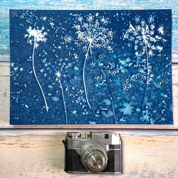 Photograph Album with Umbelliferae Like Fireworks